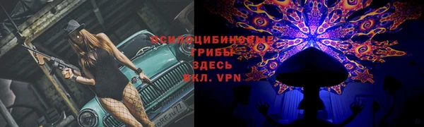 Альфа ПВП Семилуки